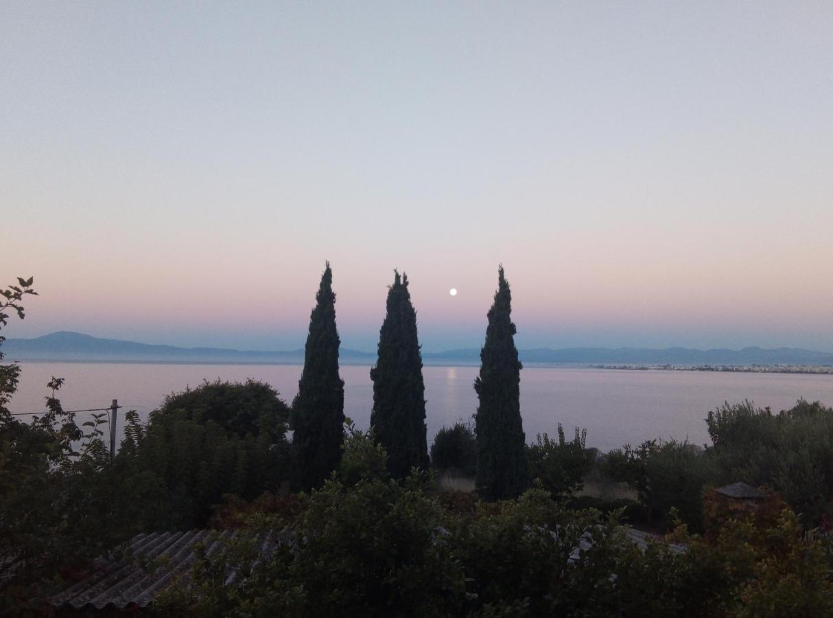 Earth N' Water * Verga Kalamata
